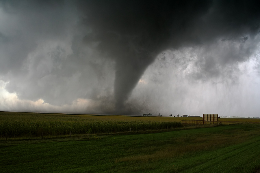 A tornado with a crop field in the foreground