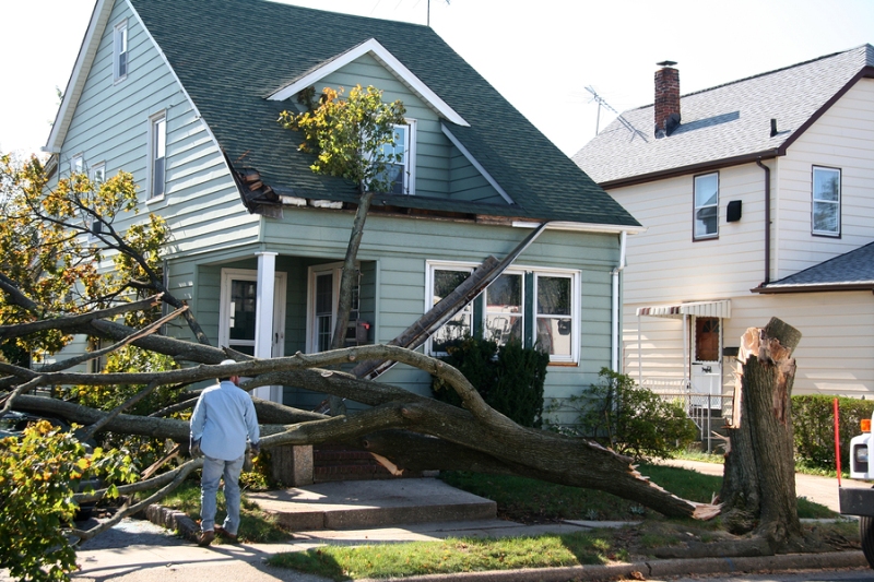 A home damaged by a fallen tree in the aftermath of a hurricane
