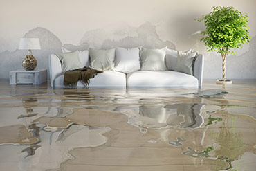 Water Damage Restoration