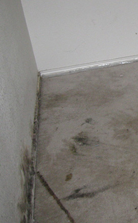Carpet Water Damage Restoration Services in Texas and Oklahoma